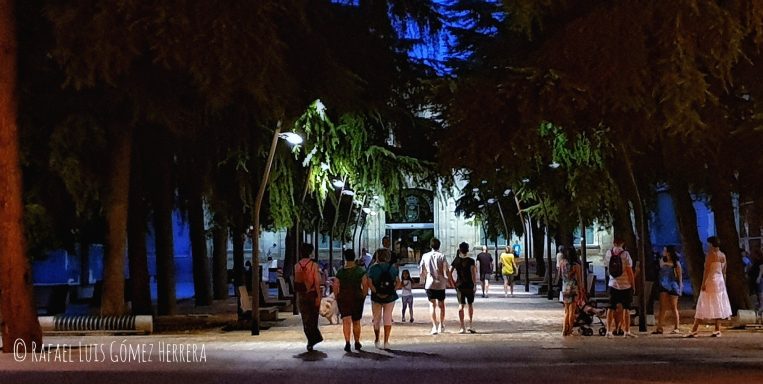 Noches de verano